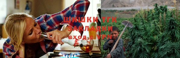 стаф Абинск