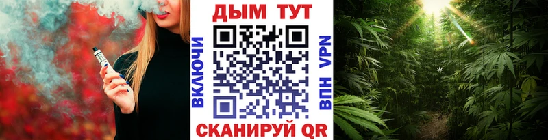 купить  цена  Сураж  Канабис White Widow 